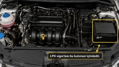 lpg sigortası nerede
