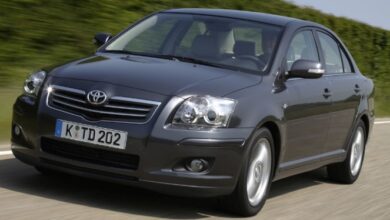 avensis